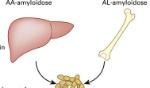 Kunnandi tiltak fyri amyloidosu sjúklingar og avvarðandi